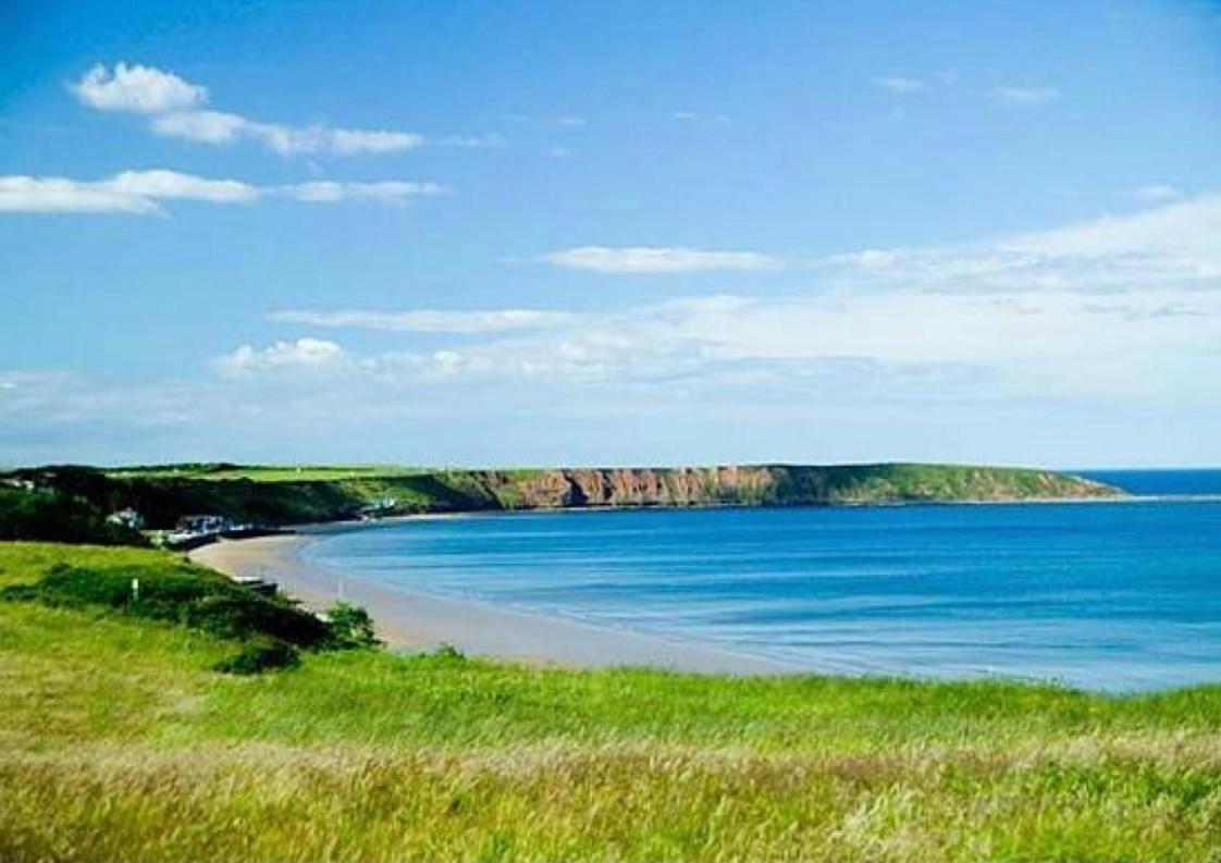 The Bay, Filey, Moonshine Cottage 外观 照片